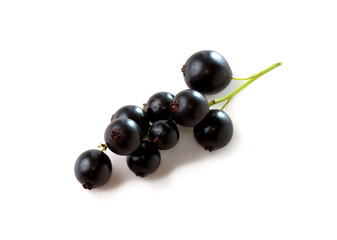 black currants