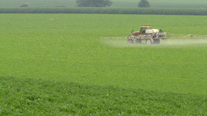 Traitement des cultures