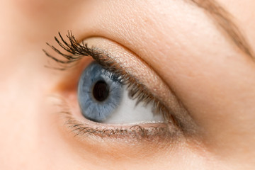 Fototapeta na wymiar woman blue eye closeup