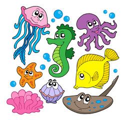 Marine fish collection