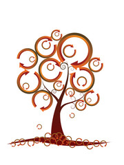 Ecology fall/autumn tree