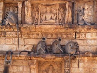 Chittorgarh citadel ruins in Rajasthan, India