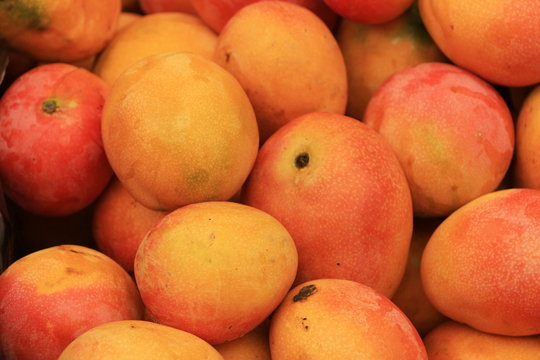 Mangos - - Erev Shabbos Shuk Cornucopia (Yehuda Boltshauser)