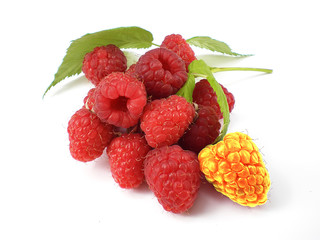 unique raspberry