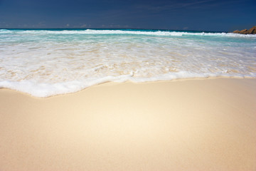 Fototapeta na wymiar sandy beach closeup