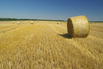 Strohballen - bale of straw 15