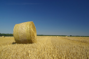 Strohballen - bale of straw 17