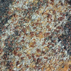 rock background with garnet inclusions