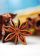 anis - weihnachtlich duftendes gewürz