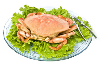 Steamed Dungeness Crab on a Bed of Lettuce
