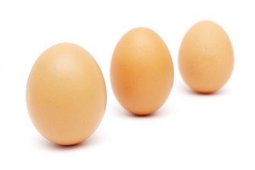 Standing Eggs