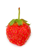 Red strawberry isolated on the white background
