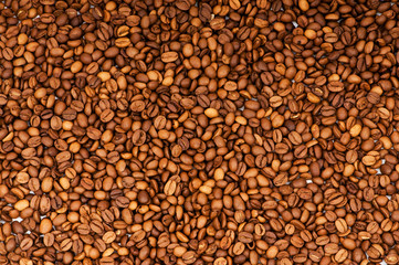 Close up of freshly roasted coffee beans