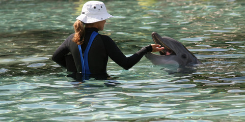 woman feeding dolphin