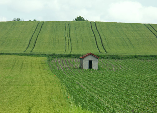 cabane au milieu des champs