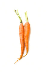 Two carrots