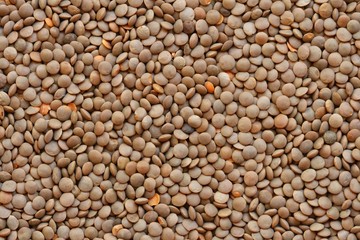 Red lentils