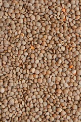 Red lentils