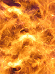 Wild fire flames
