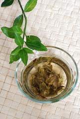 Green tea drink and leaves