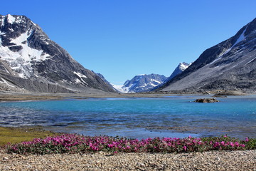 Symmetric lake-mountain-flower picture © Vytenis