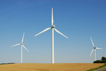 Fototapeta premium Windräder 134