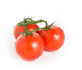 tomatoes on white