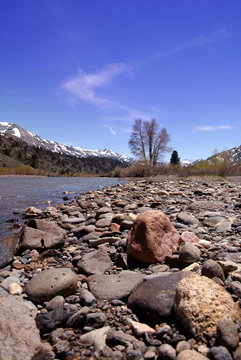 Springtime river in the Sierra Nevada range of California