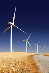 Fotobehang Molens Power generating wind turbines, Rio Vista California