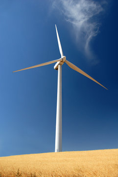 Power generating wind turbines, Rio Vista California