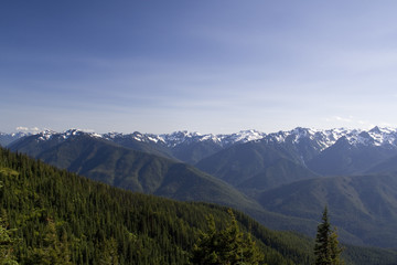 The Olympic Mountains on a summer day from Hurricane Ridge