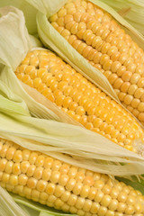 Corn