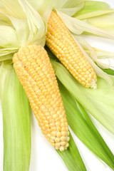 Corn