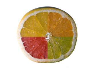 Merged citrus fruits