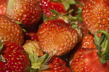 food series: freshly grown tasty strawberry texture