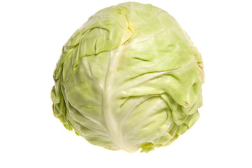 cabbage