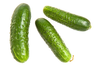 Fresh green cucumbers