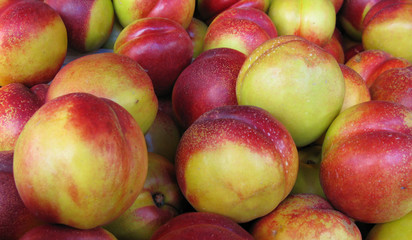 Nectarines