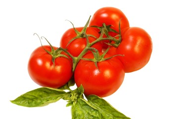 tomates grappe et basilic