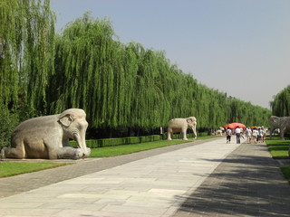 Allee der Toten - Ming Gräber / Peking / China