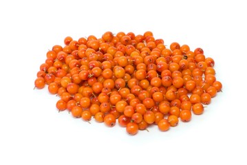 Pile of sea buckthorn berries isolated on the white background