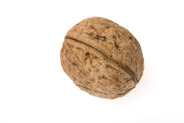 walnut
