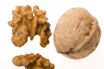walnut