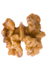 walnut