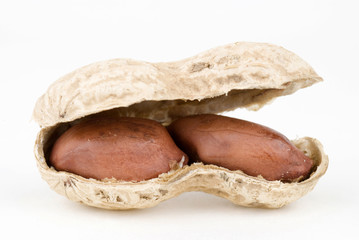 Peanut
