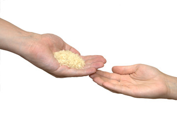 Hand giving rice to another hand isolated