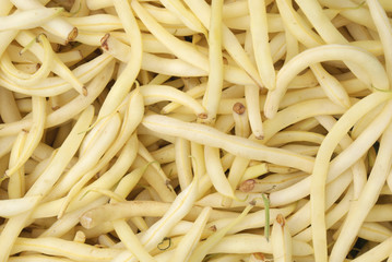 yellow string bean