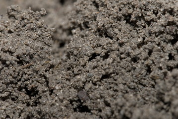 Macro Earth for Plant background .