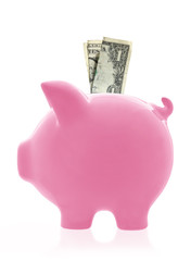 Pink piggy bank, in profile view with one dollar bill.