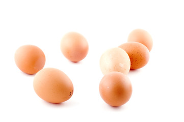 object on white - food brown egg